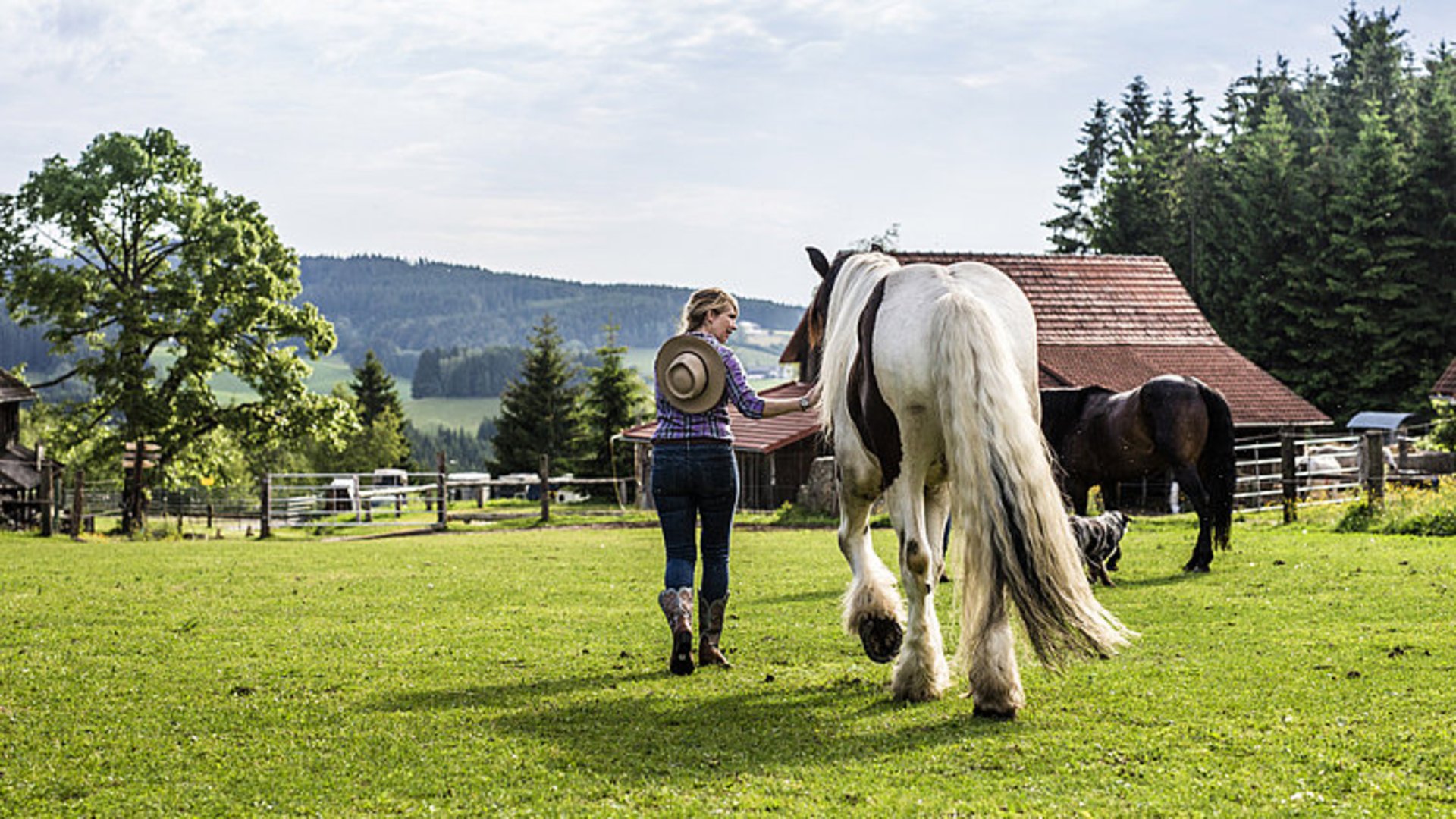 Foto: Oberösterreich Tourismus/Einzenberger: Reiten auf der Mühlviertler Alm im Mühlviertel Das Bild zeigt eine Reiterin, die auf einer Ranch ihr Pferd neben sich herführt.