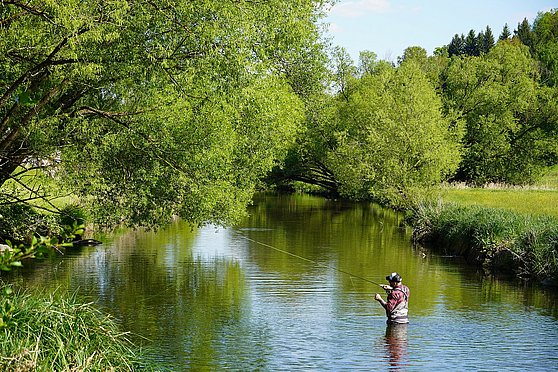 Fliegenfischen in der Großen Mühl © TVB Mühlviertel: List