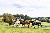 Wanderreiten im Pferdereich Mühlviertler Alm © Erber