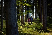 Waldhügelwelt: Pärchen beim Wandern am Braunberg ©Alexander Kaiser
