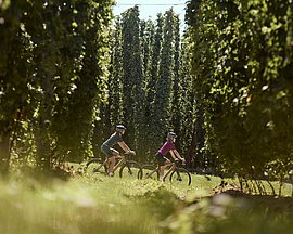 Gravelbiken im Mühlviertel ©TVB Mühlviertel: Alexander Kaiser