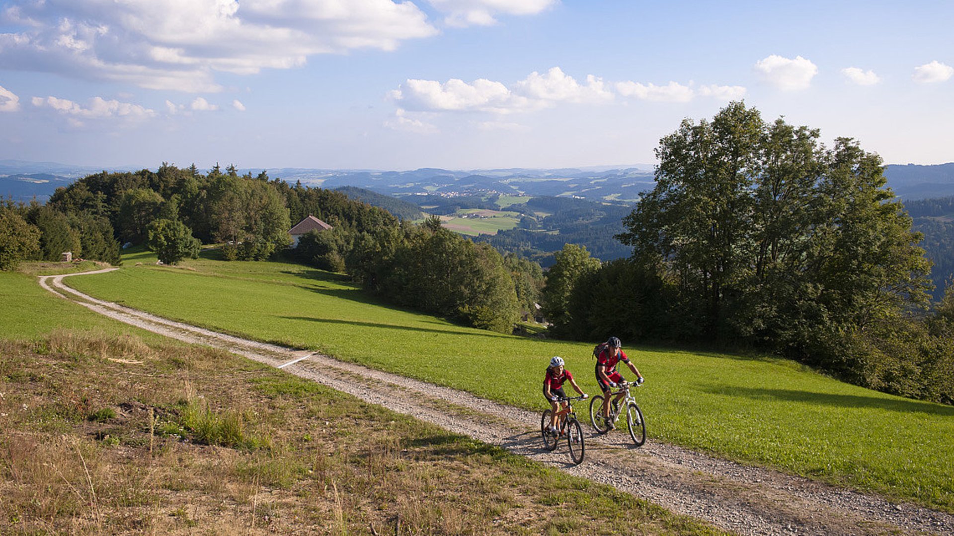 Foto: Oberösterreich Tourismus/Erber: Mountainbiken im Mühlviertel Das Bild zeigt zwei Mountainbiker, die auf einem Wegen nebeneinander herfahren. Hinter ihnen sieht man die Weite des Mühlviertels.