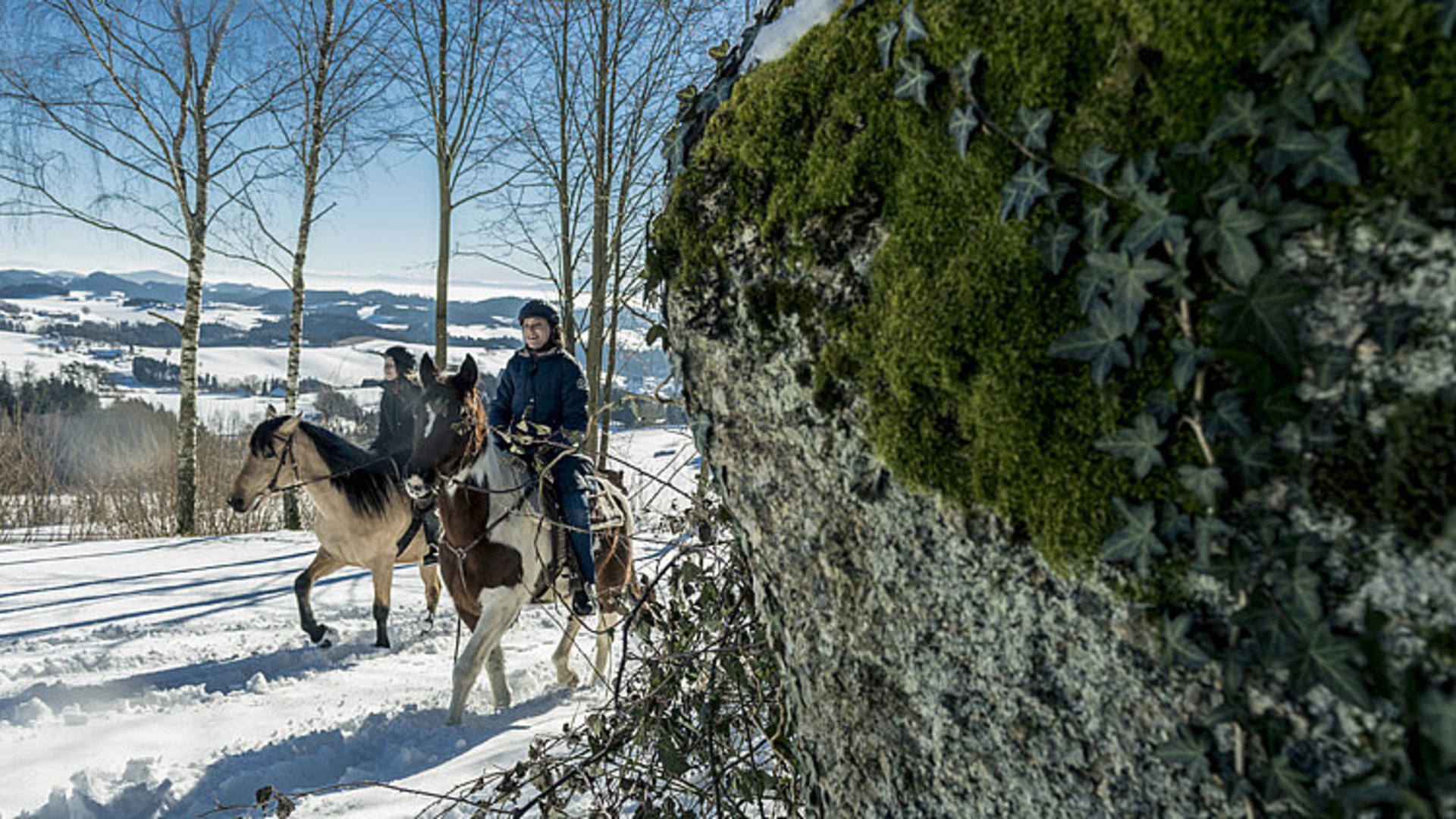 Foto: Oberösterreich Tourismus/davidlugmayr.at: Winterreiten im Mühlviertel Das Bild zeigt zwei Reiterinnen, die bei strahlendem Sonnenschein durch das winterliche Mühlviertel reiten.
