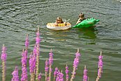 Badespaß am Badesee in Klaffer ©TVB Mühlviertel: Weissenbrunner