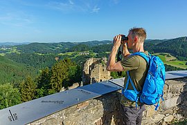Johannesweg Burgruine Prandegg Weitblick ©TVB Mühlviertel: Walch