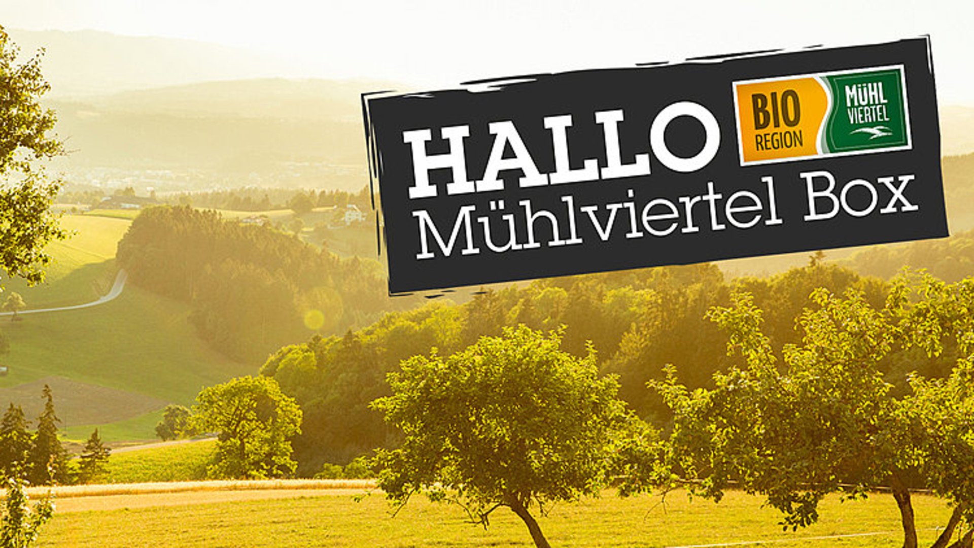 Foto: BioRegion Mühlviertel: Die BioRegion Mühlviertel präsentiert die Hallo Mühlviertel Box Das Bild zeigt das Logo der Hallo Mühlviertel Box. Im Hintergrund sieht man die grüne Landschaft des Mühlviertels.
