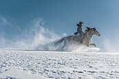 Reiten im Schnee © OÖT: David Lugmayr