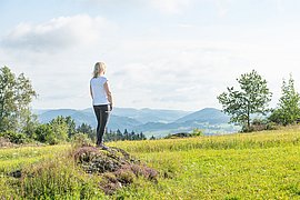 Quendel im Naturpark Rechberg ©TVB Mühlviertel: Ludwig Pullirsch