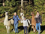 Lamawanderung © TVB Mühlviertel | Naturpark
