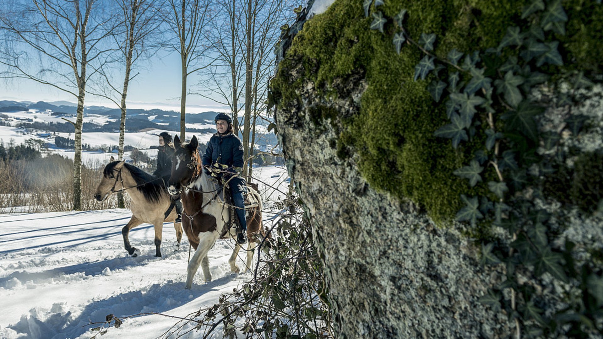 Foto: Oberösterreich Tourismus/davidlugmayr.at: Winterreiten im Granithochland. Das Bild zeigt zwei Reiterinnen, die bei strahlendem Sonnenschein durch das winterliche Mühlviertel reiten.